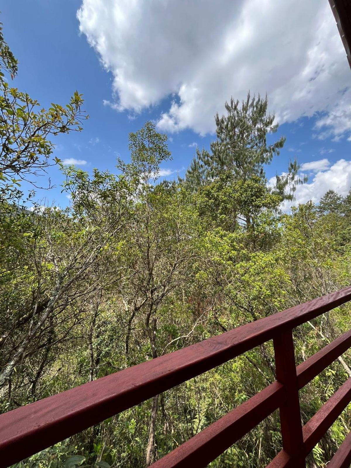 Pousada Recanto Do Saua - Monte Verde Monte Verde  Pokoj fotografie